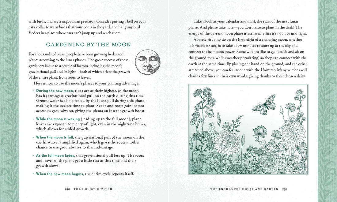 Holistic Witch by Leanna Greenaway-Earth Fairy Holistics