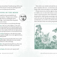 Holistic Witch by Leanna Greenaway-Earth Fairy Holistics