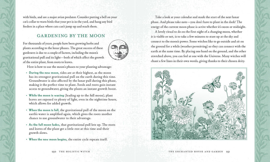 Holistic Witch by Leanna Greenaway-Earth Fairy Holistics