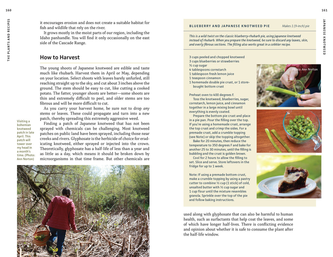 Edible Plants of the Pacific Northwest-Earth Fairy Holistics