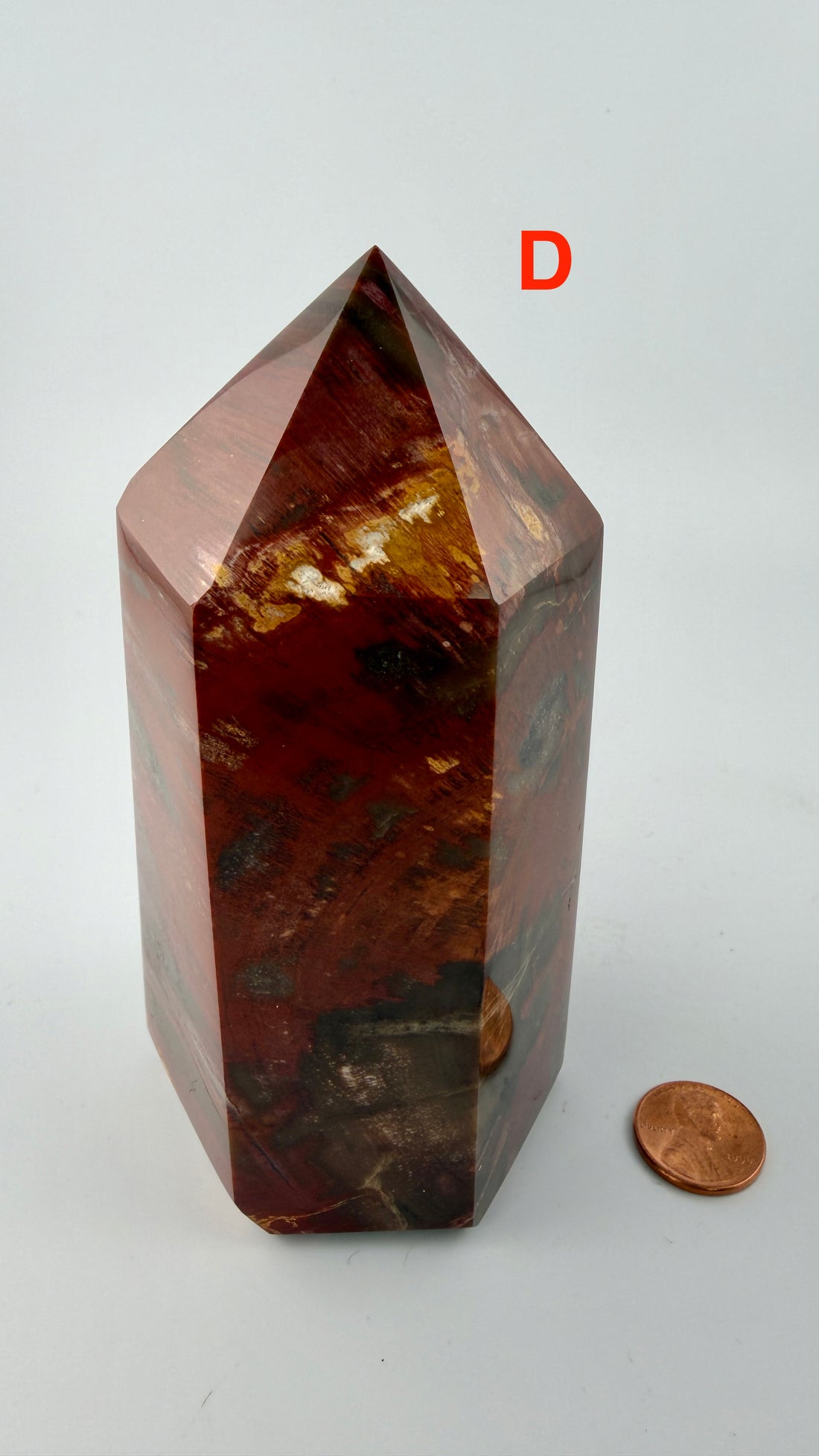 Petrified Wood Towers-Earth Fairy Holistics