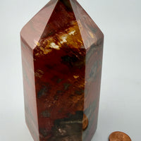 Petrified Wood Towers-Earth Fairy Holistics