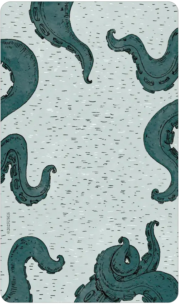 Tempest Tarot-Earth Fairy Holistics