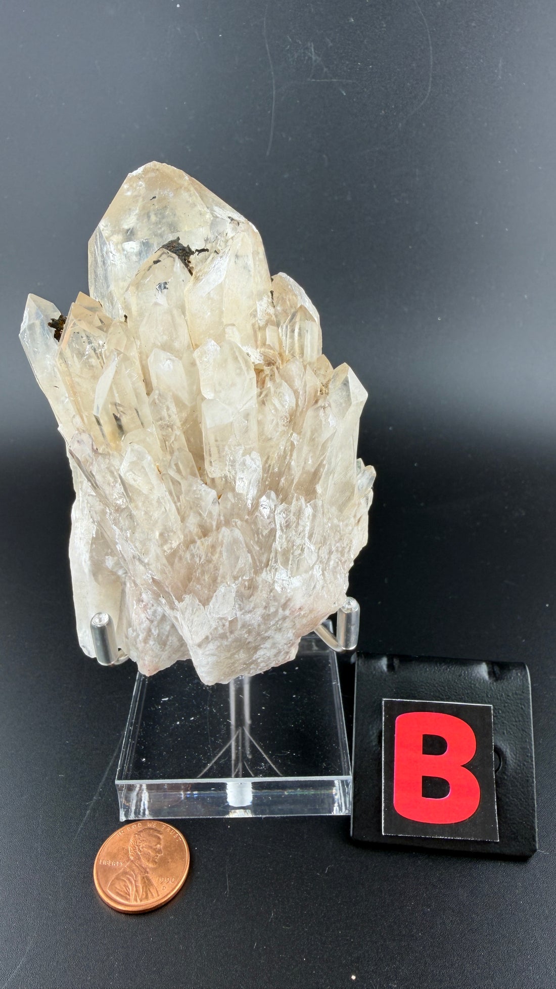 Kundalini Citrine-Earth Fairy Holistics