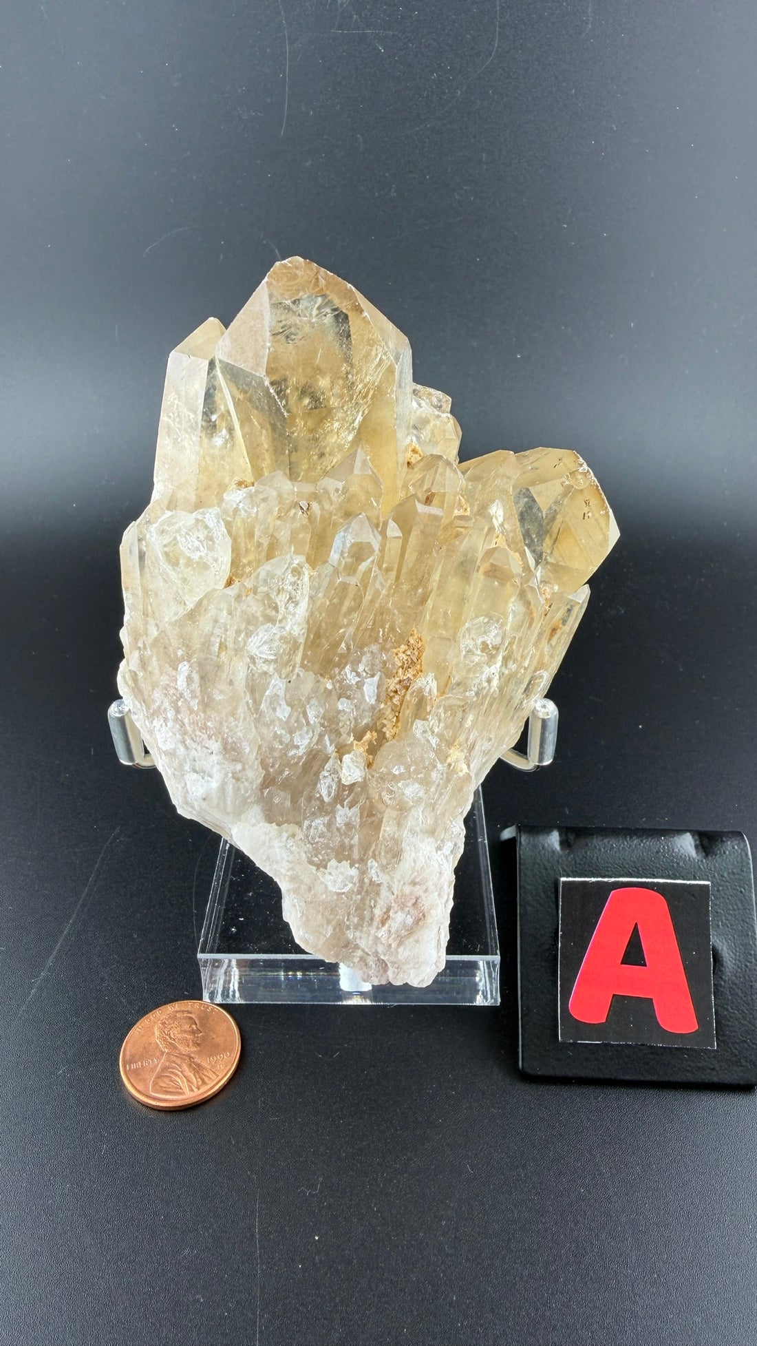 Kundalini Citrine-Earth Fairy Holistics