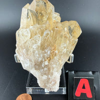 Kundalini Citrine-Earth Fairy Holistics
