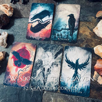 Wisdom of the Raven Oracle - J Edward Neill-Earth Fairy Holistics