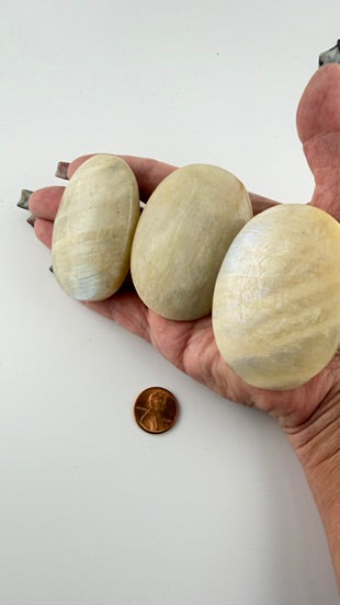 Moonstone Palm Stone-Earth Fairy Holistics