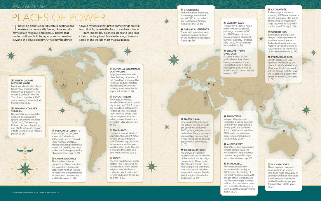 NG Book of Magic-Earth Fairy Holistics