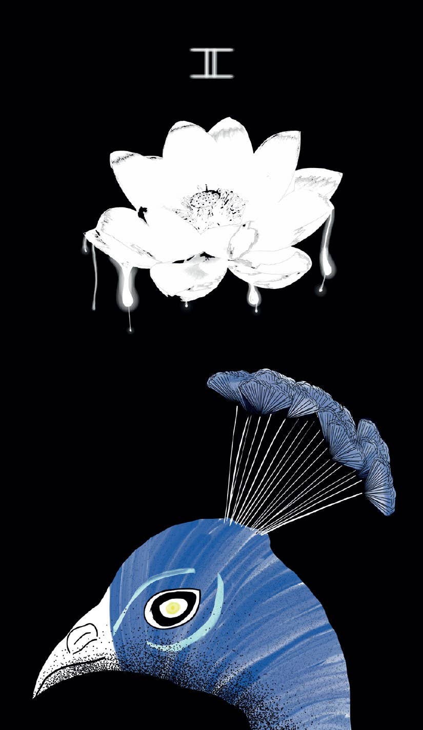 Sacred Web Tarot, The: Jannie Bui Brown-Earth Fairy Holistics