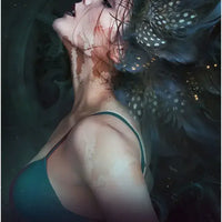 Dark Light Oracle-Earth Fairy Holistics