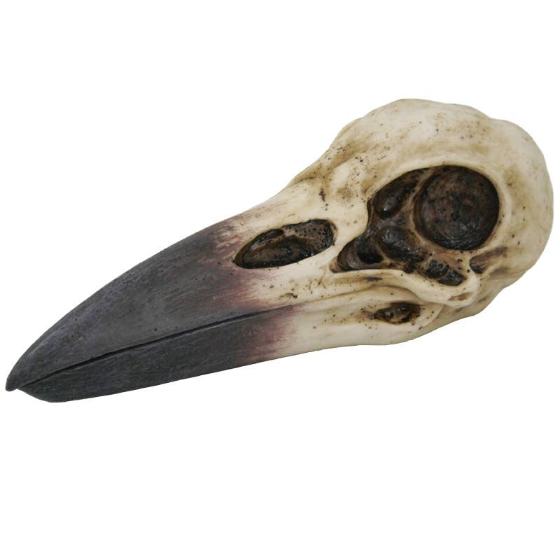 Raven Skull Box-Earth Fairy Holistics