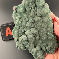 Velvet Malachite Specimens