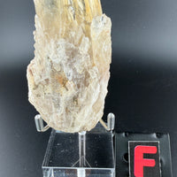 Kundalini Citrine-Earth Fairy Holistics
