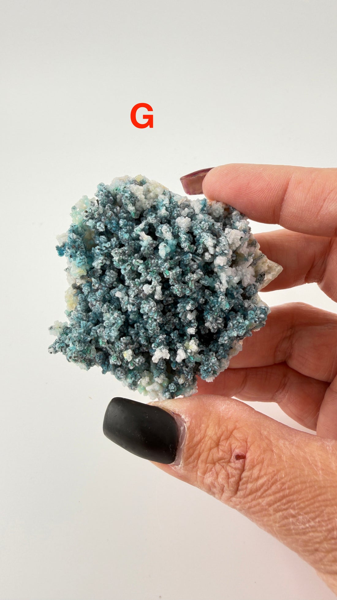Chalcedony (w/Copper/Chrysocolla & Malachite Incl) Botryoidal Specimens
