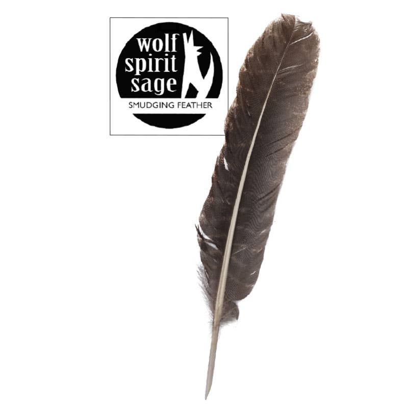 Barred Turkey Smudging Feather-Earth Fairy Holistics