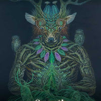 Shamanic Oracle by-Earth Fairy Holistics