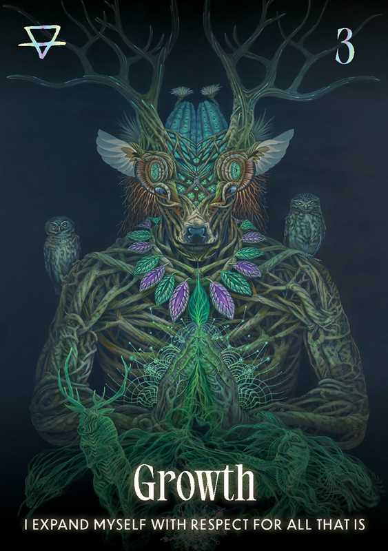 Shamanic Oracle by-Earth Fairy Holistics