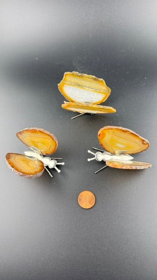 Agate Butterfly-Earth Fairy Holistics