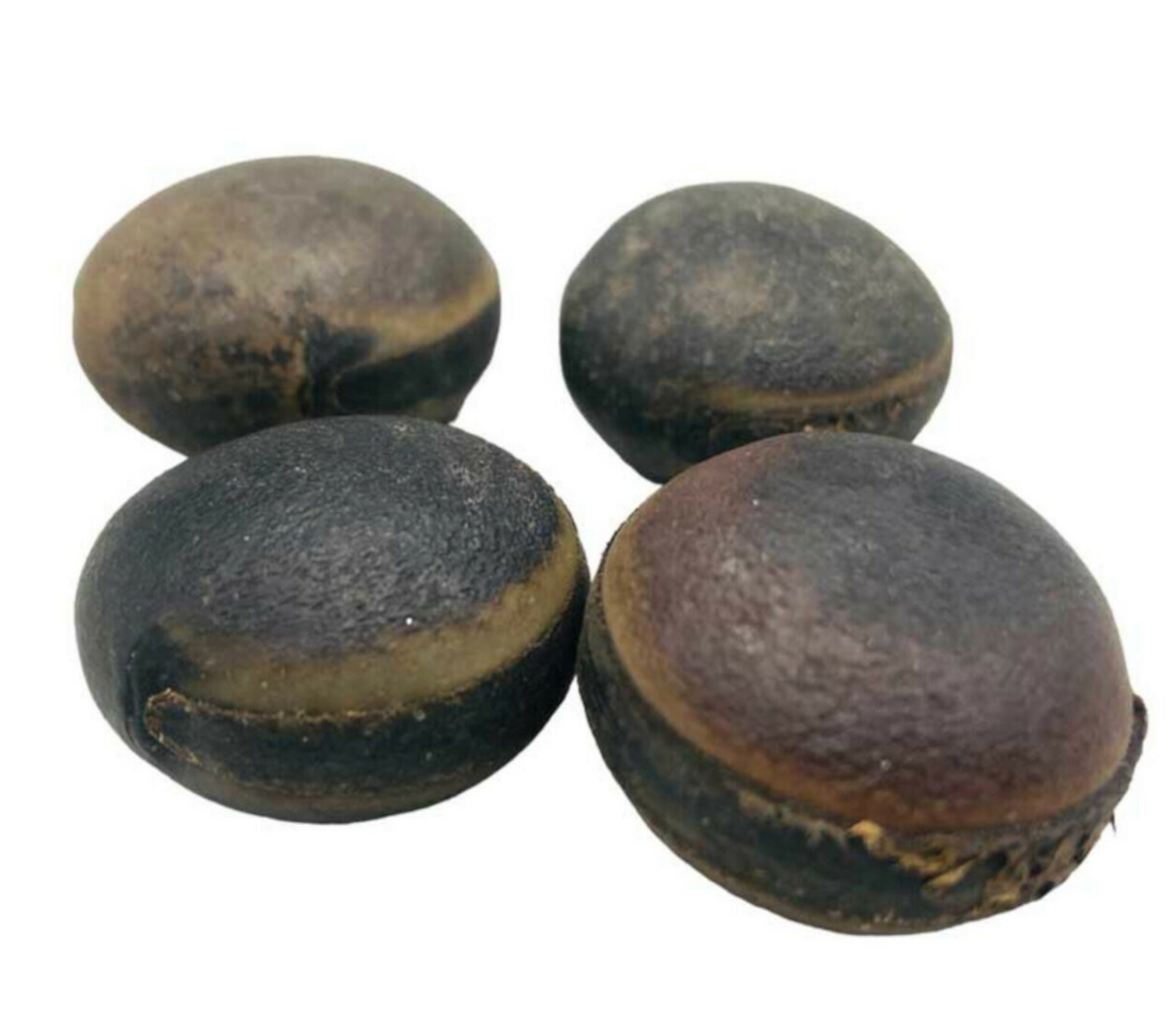 Bull's Eye (Ojo de Buey) - (MAGICAL USE ONLY - NOT FOR INGESTING)-Earth Fairy Holistics