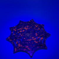 Yooperlite Spider Web Carving (UV Reactive)