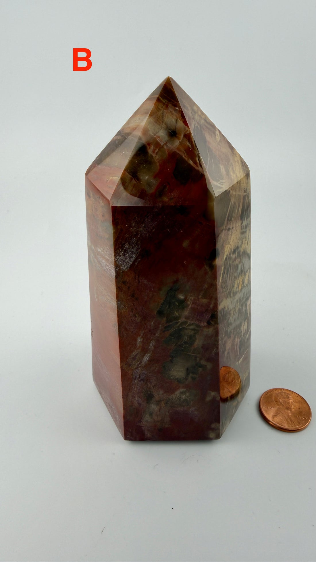 Petrified Wood Towers-Earth Fairy Holistics