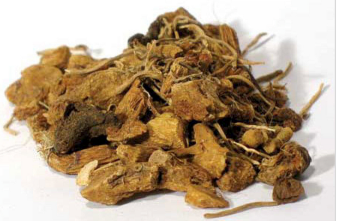 Solomon Seal Root (MAGICAL USE ONLY - NOT FOR INGESTING)-Earth Fairy Holistics