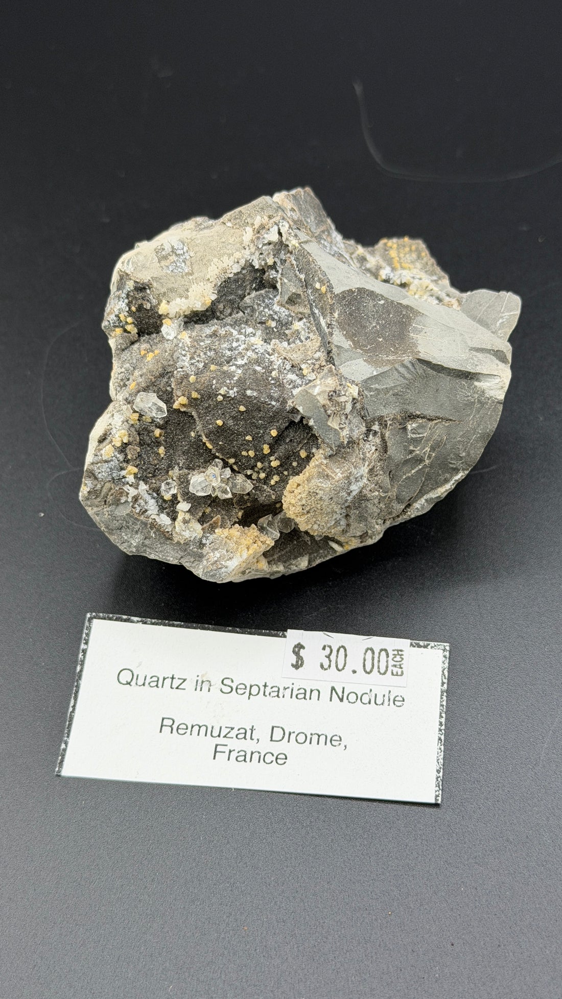 Quartz in Septarian Nodule-Earth Fairy Holistics