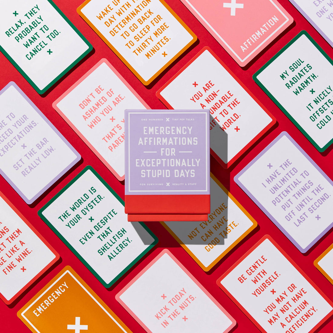 Brass Monkey Emergency Affirmations Exceptionally Stupid Days Card Deck-Earth Fairy Holistics