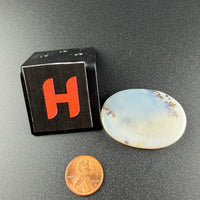Scenic Dendritic Agate Flat Stones-Earth Fairy Holistics