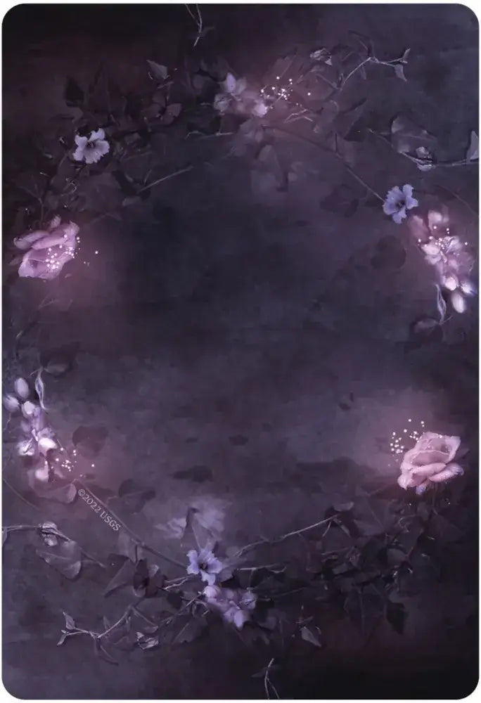 Dark Light Oracle-Earth Fairy Holistics