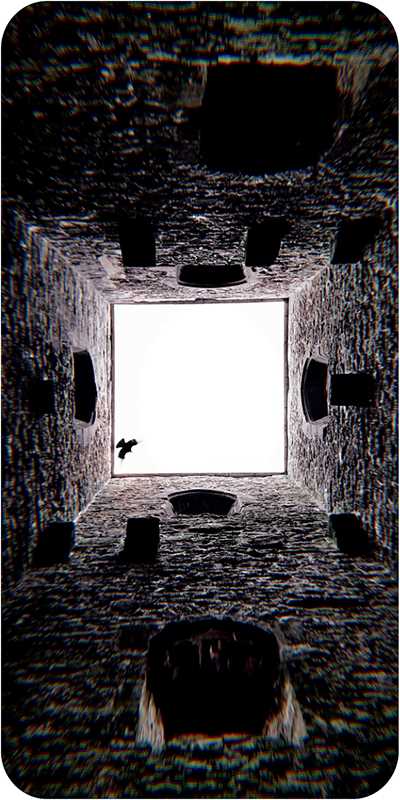 Druid Wisdom by Andres Engracia-Earth Fairy Holistics