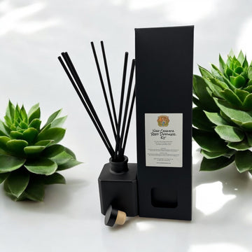 Reed DIffuser Kits-Earth Fairy Holistics