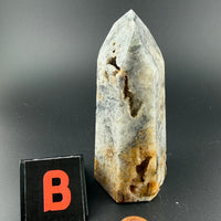 Jasper Points-Earth Fairy Holistics