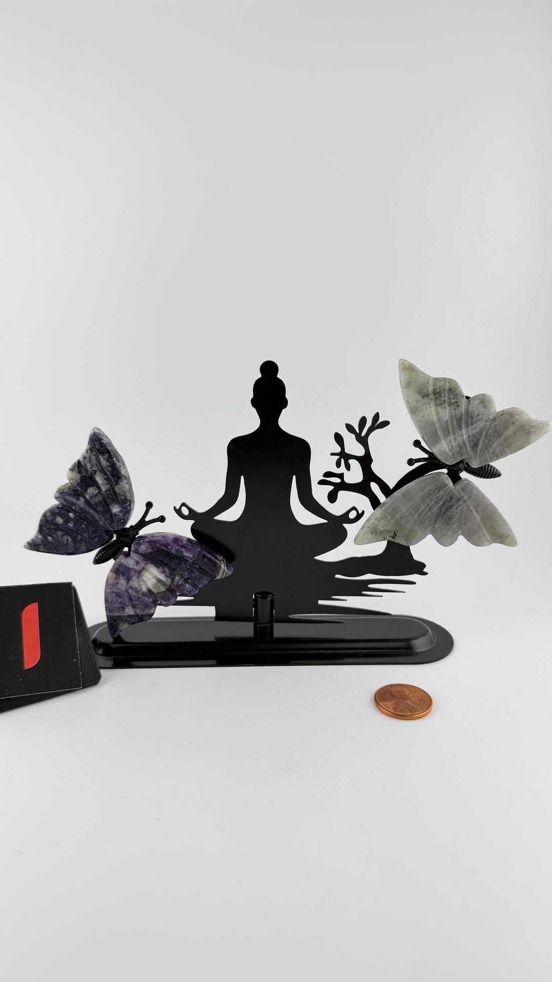 Yoga with Butterfly Wings