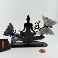 Yoga with Butterfly Wings