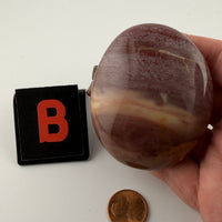 Petrified Wood Palm Stones-Earth Fairy Holistics
