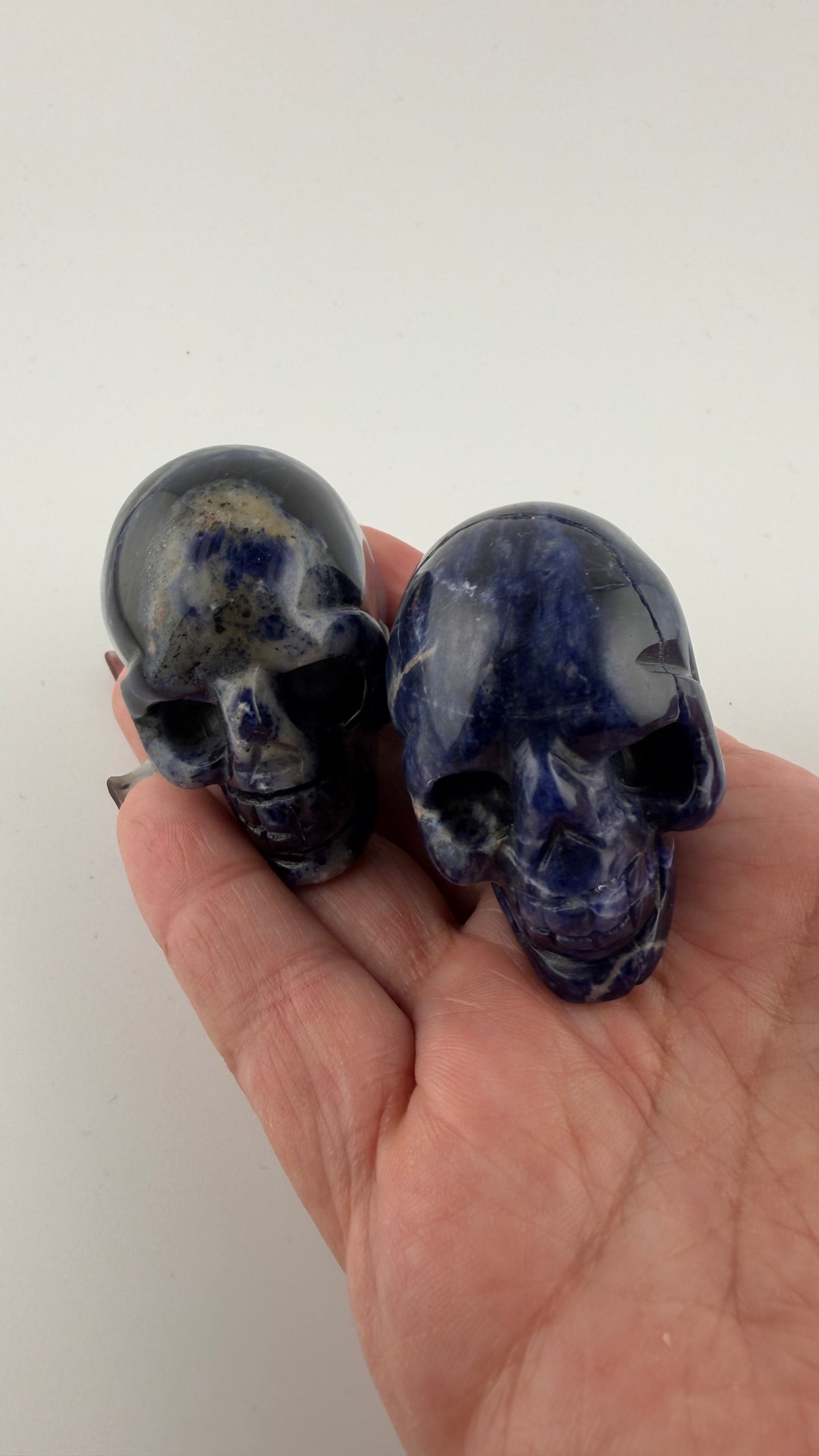Skull Carvings-Earth Fairy Holistics