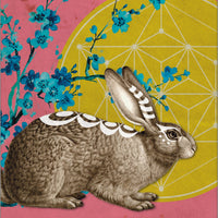Wise Earth Medicine Tarot: 78 Cards & 96 Page Guidebook-Earth Fairy Holistics
