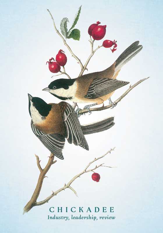 Spiritual Meaning of Birds Oracle Deck by Arin Murphy-Hiscock-Earth Fairy Holistics