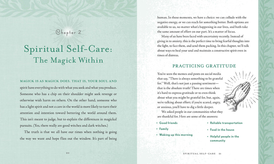 Holistic Witch by Leanna Greenaway-Earth Fairy Holistics