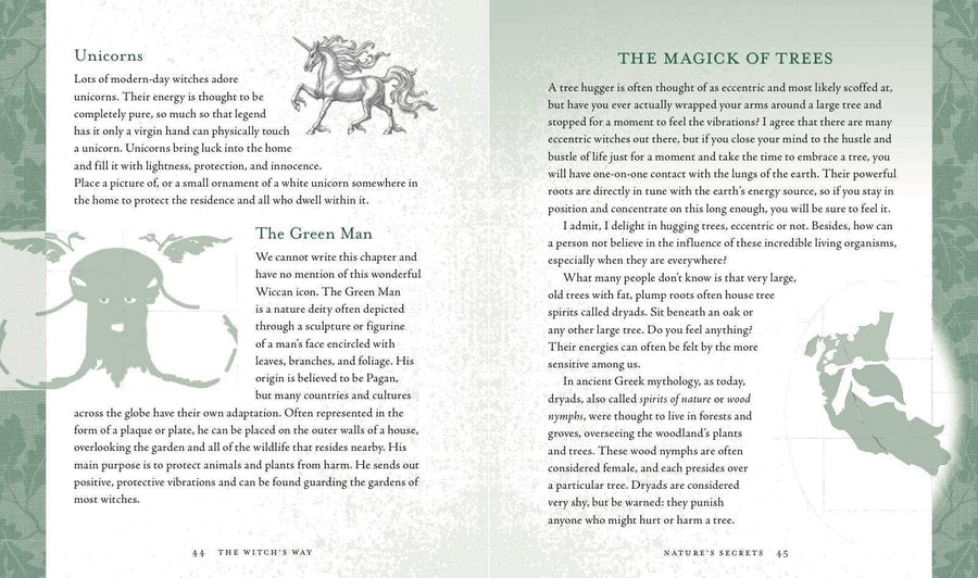 Witch's Way by Shawn Robbins-Earth Fairy Holistics