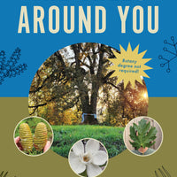 The Trees Around You-Earth Fairy Holistics