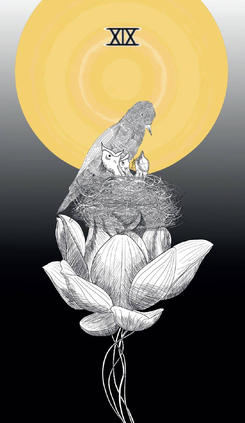 Sacred Web Tarot, The: Jannie Bui Brown-Earth Fairy Holistics