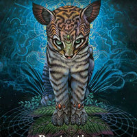 Shamanic Oracle by-Earth Fairy Holistics