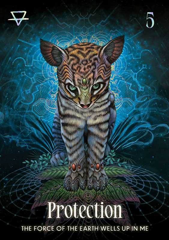 Shamanic Oracle by-Earth Fairy Holistics