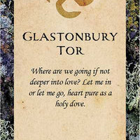 Druid Wisdom by Andres Engracia-Earth Fairy Holistics