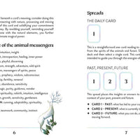 Enchanted Earth Oracle by Jessica Lahoud-Earth Fairy Holistics