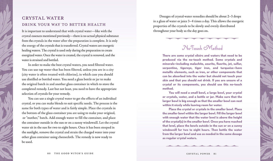 Good Witch's Guide by Shawn Robbins-Earth Fairy Holistics