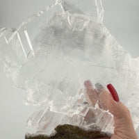 Selenite Raw Specimens - AAA Grade-Earth Fairy Holistics